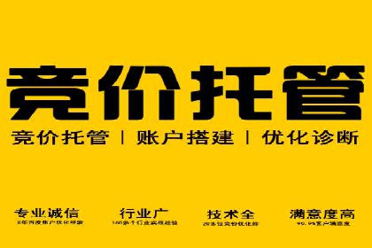 托管SEM竞价服务流程：从策划到执行的完整流程